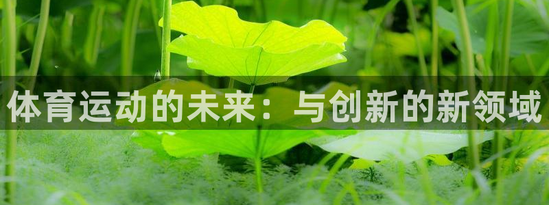 oety欧亿体育官网下载官方客服电话