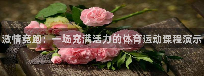 欧亿体育官方正版app新能源：激情竞跑：一场充满活力