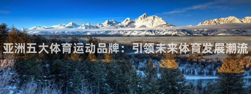 欧亿体育官方正版app新能源：亚洲五大体育运动品牌：
