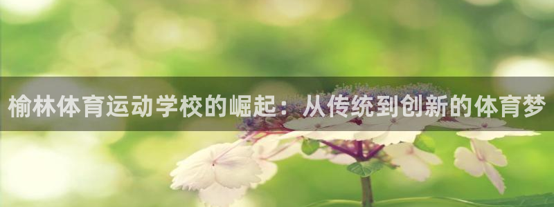 欧亿体育官方集团官网：榆林体育运动学校的崛起：从传统