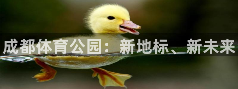欧亿体育官方正版app娱乐下载：成都体育公园：新地标