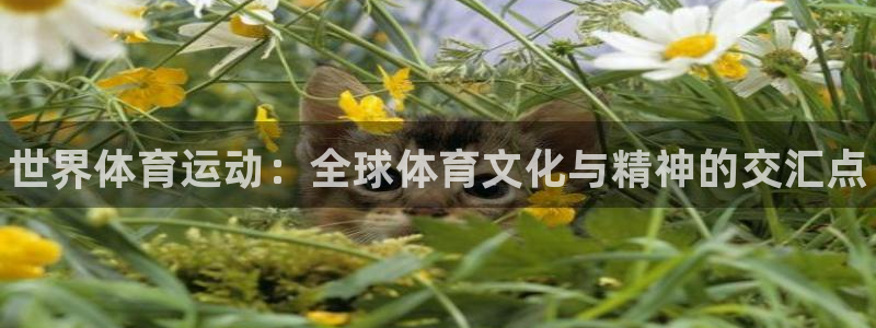 oety欧亿体育官网下载注册：世界体育运动：全球体育