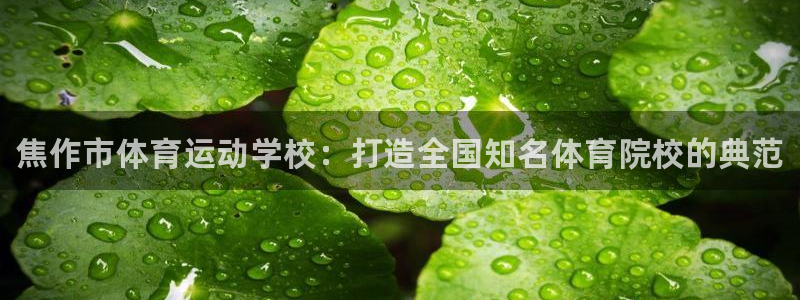 oety欧亿体育官网下载平台：焦作市体育运动学校：打