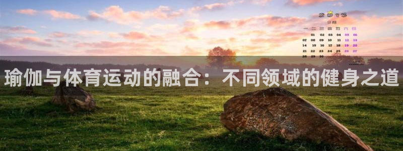 欧亿体育官方正版app官网：瑜伽与体育运动的融合：不