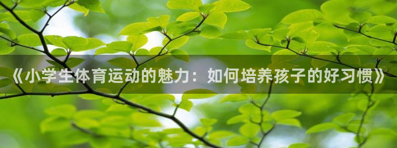 欧亿体育官方正版app娱乐代理怎么样：《小学生体育运动的魅力