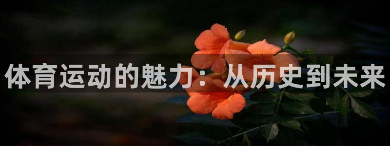 oety欧亿体育官网下载招商电话号码查询是多少：体育运动的魅