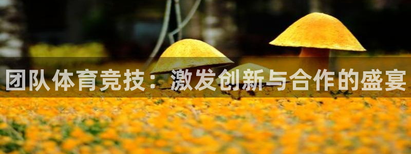 oety欧亿体育官网下载平台注册要钱吗：团队体育竞技：激发创