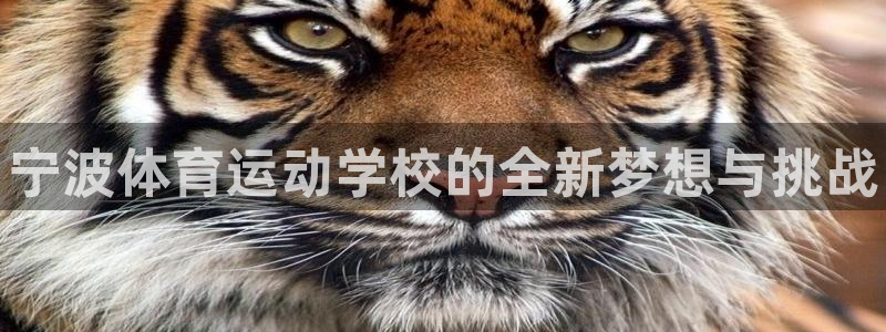 欧亿体育官方正版app科技：宁波体育运动学校的全新梦想与挑战
