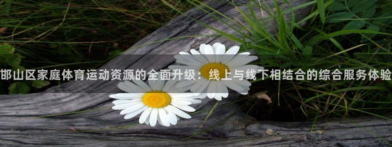 oety欧亿体育官网下载平台注册要钱吗安全吗：邯山区