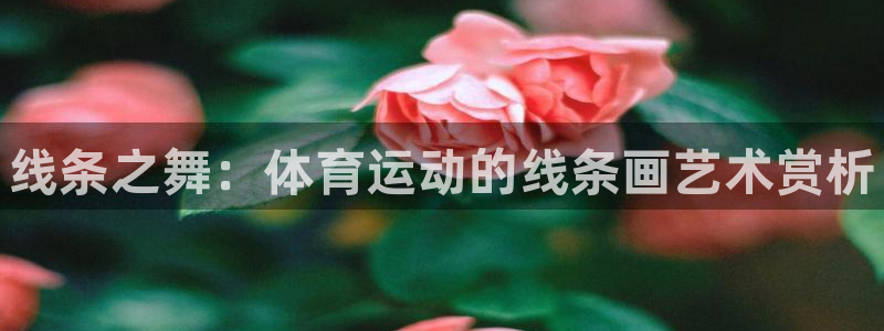 oety欧亿体育官网下载联系电话：线条之舞：体育运动的线条画