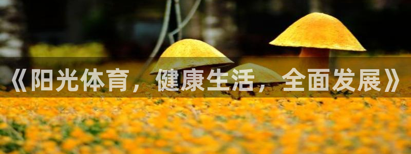 欧亿内部：《阳光体育，健康生活，全面