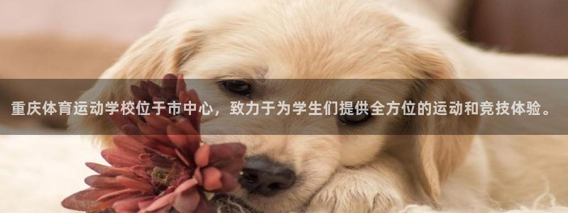 oe欧亿登陆：重庆体育运动学校位于市