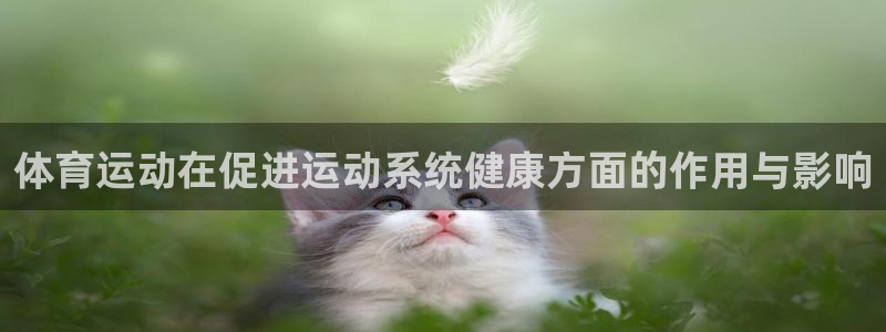 最新欧亿app官方下载：体育运动在促