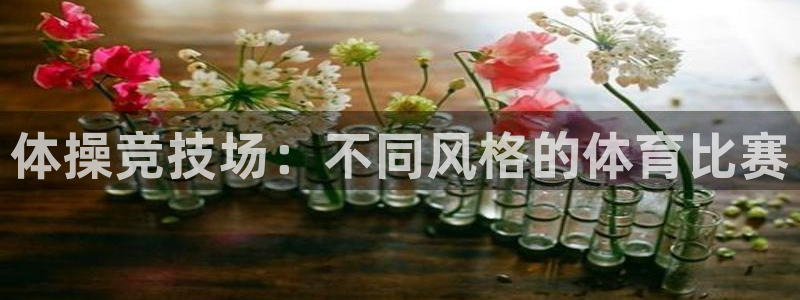 oety欧亿体育官网下载平台注册要钱吗安全吗:体操竞技场:不